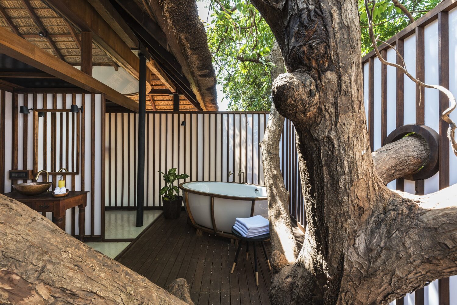 Architecture Brio – Tala Treehouse Villa_Photographix